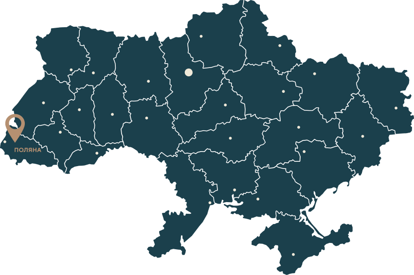 в курортному містечку Поляна